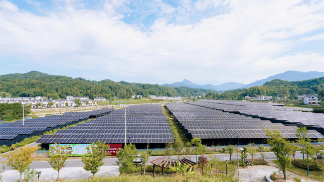 7有機(jī)靈芝種植基地全景.png