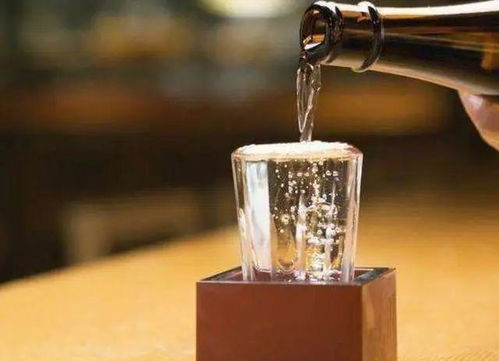 固態酒和液態酒哪個好 一場風味與工藝的較量